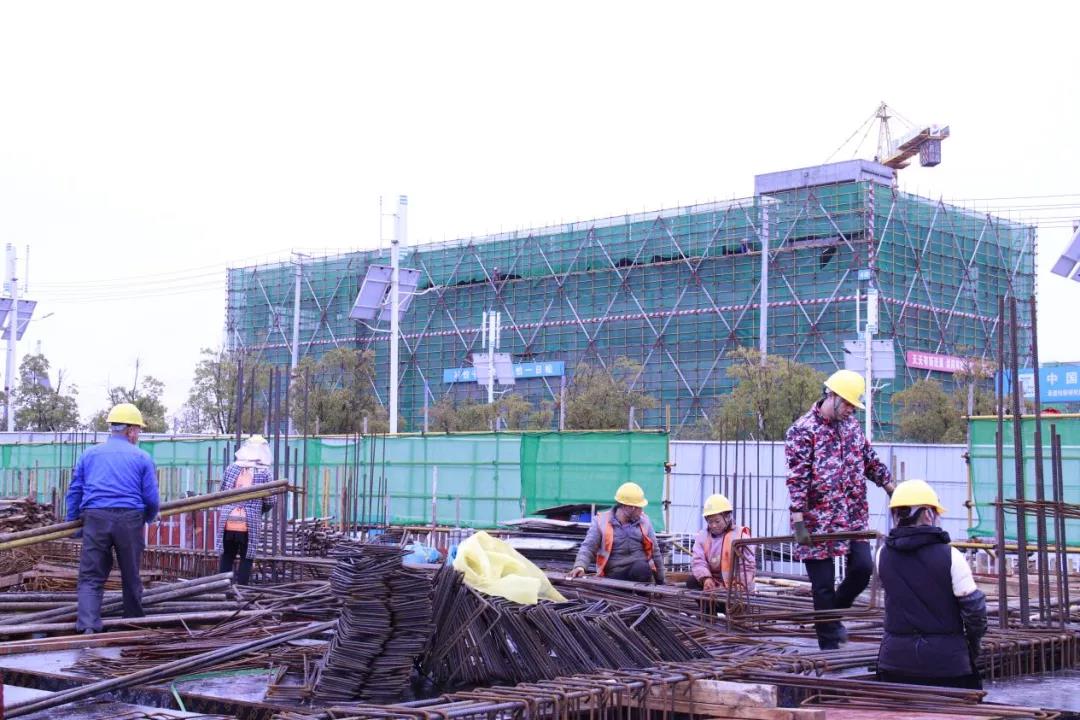 1644823533242957.jpg 1644823533242957.jpg